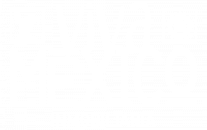 Logotipo de Viva México Inmobiliaria, cliente de Diconect